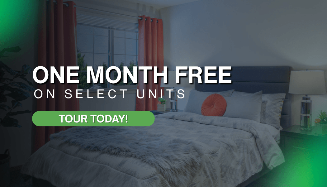 Spring into savings